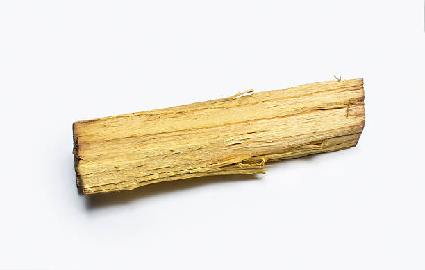 istock High angle view of single firewood over white background 534332292