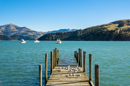 Jetty in Akaroa, south island of New Zealand.