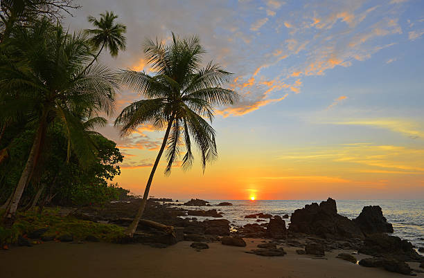 sonnenuntergang in costa rica - corcovado stock-fotos und bilder