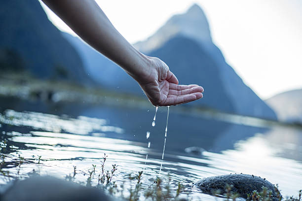 Hand cupped to catch fresh water from the lake-New Zealand Human hand cupped to catch the fresh water from the lake, sunrise light passing through the transparence of the water and reflecting the Mitre peak. fiordland national park photos stock pictures, royalty-free photos & images