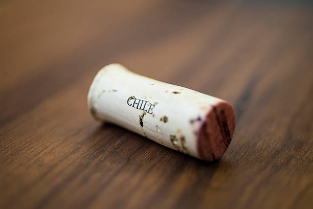 Wine cork A close-up of a red wine cork  chilean wine stock pictures, royalty-free photos & images