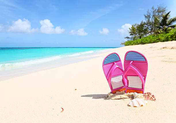 istock Pink flip-flops and sea shells on a sunny beach. 534336516
