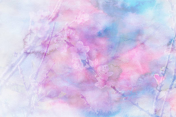 istock Cherry blossom flowers image mix with painted watercolor on pape 534336864