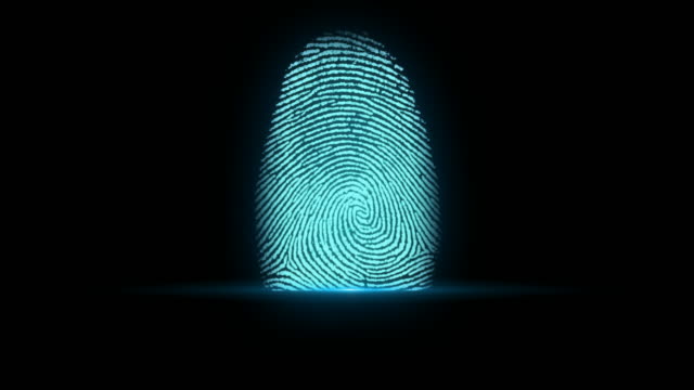 4K Fingerprint Identification