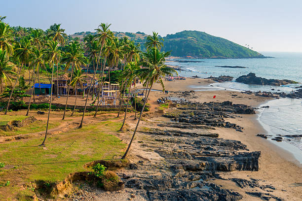 istock Tropical sandy beach and palm trees near the ocean 534364837