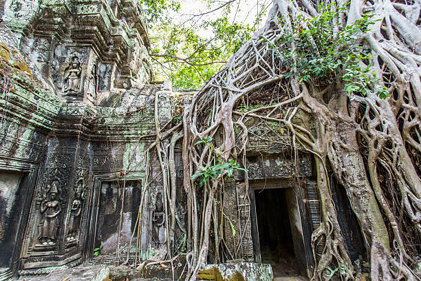ta phrom castle, angkor thom, camboya-imagen de stock - ankor fotografías e imágenes de stock