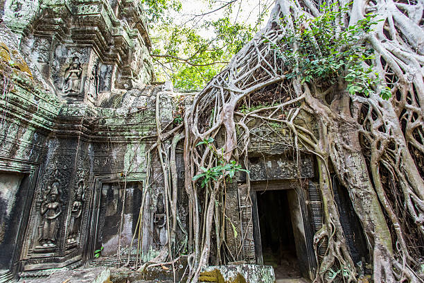 castelo de ta phrom, angkor thom, camboja-imagem stock - ankor imagens e fotografias de stock