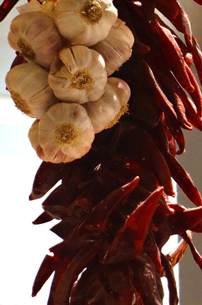 imagem de sequência de lâmpadas penduradas seco, alho e pimenta vermelha - garlic hanging string vegetable - fotografias e filmes do acervo