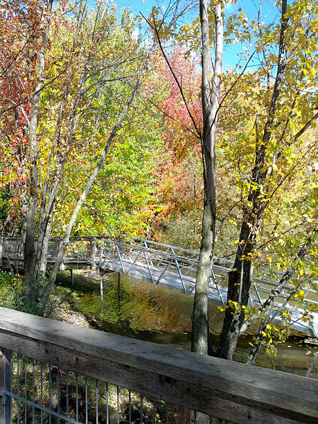 istock Little bridge with trees in the fall 534371545