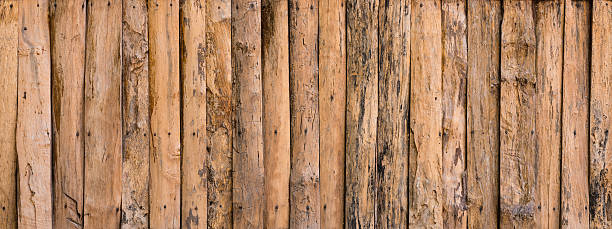 istock detail of wood texture decorative 534372131