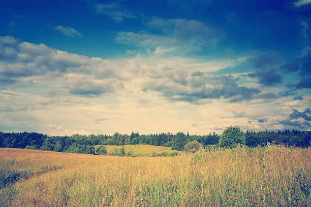 instagram nashville tone Green meadow and forest under blue dramatic sky with clouds