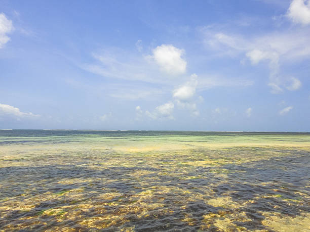 istock Beach in Malindi. Kenya. Eastern Africa 534404396