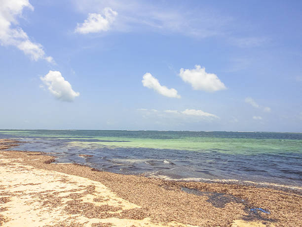 istock Beach in Malindi. Kenya. Eastern Africa 534405018