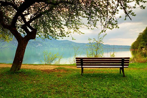 istock Wooden bench for relaxing on shore. View on Alps mountains 534405574