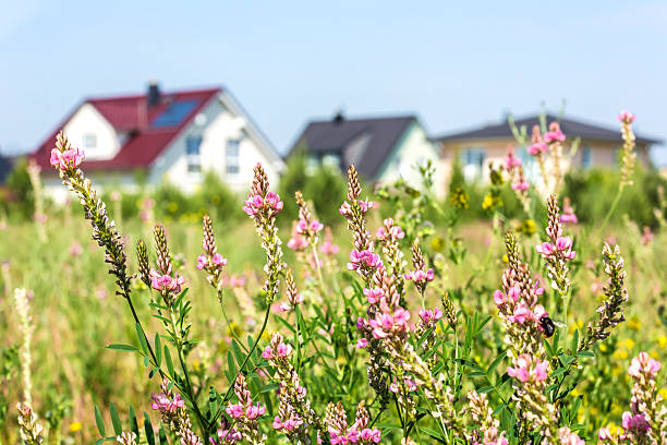 istock Residential Homes with garden 534417261