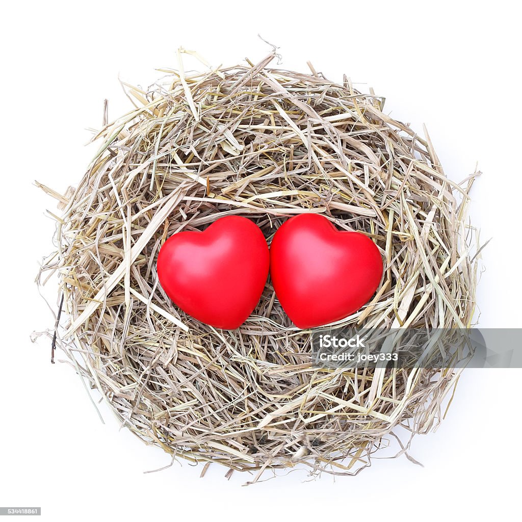 love nest couple heart on bird nest isolated from white background Bird's Nest Stock Photo