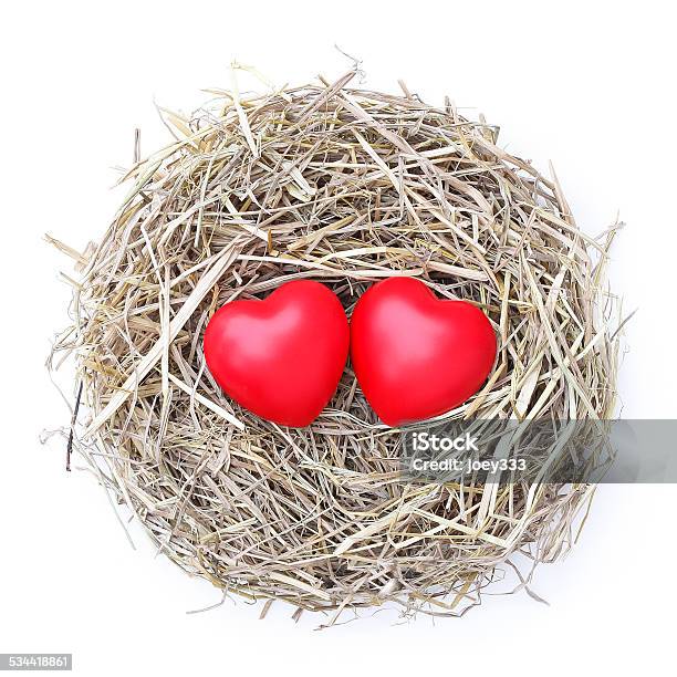 Love Nest Stock Photo - Download Image Now - Bird's Nest, Heart Shape, 2015