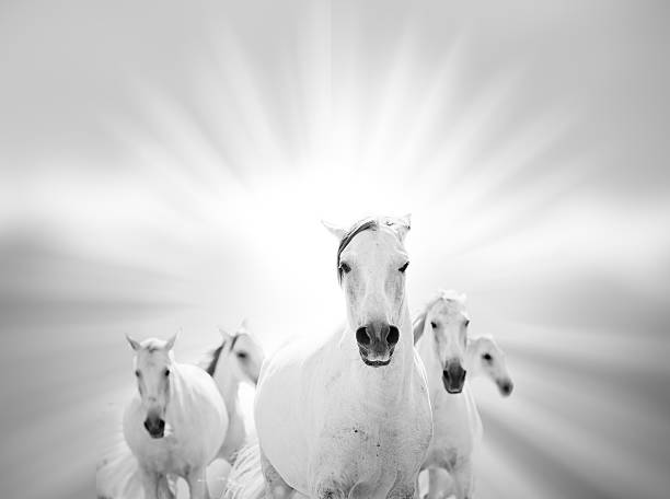 istock white horses on the sea 534422189