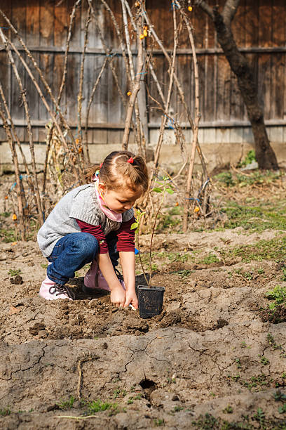 istock Little girl working in vegetable garden 534424907