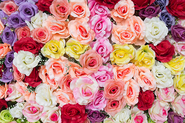 istock beautiful artificial roses flowers for background 534427965
