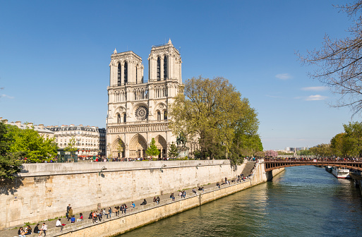 A typical bateaux-mouge sails on the waters of the Seine River, as it passes by the cathedral of Notre Dame de Paris.