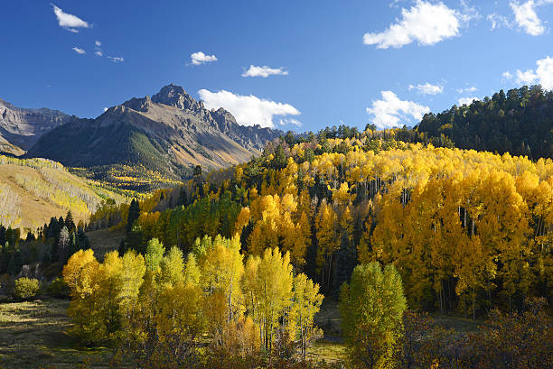 istock aspen in san juan 534452632
