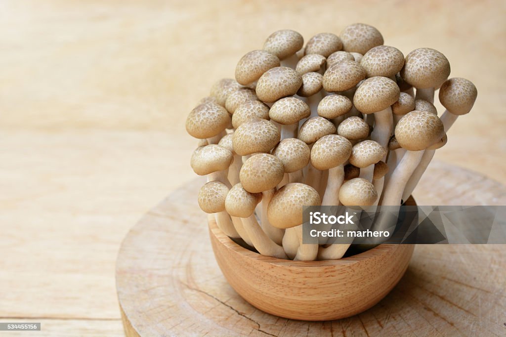 브라운 만가닥 버섯 또는 팽이 버섯 버섯 나무 그릇. - 로열티 프리 0명 스톡 사진