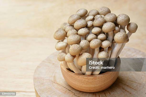 브라운 만가닥 버섯 또는 팽이 버섯 버섯 나무 그릇 0명에 대한 스톡 사진 및 기타 이미지 - 0명, Brown Beech Mushroom, 갈색