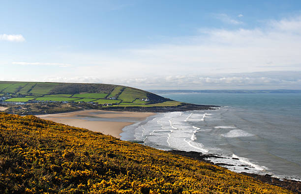 Croyde Bay Devon UK Croyde Bay on the north Devon coast as seen from Baggy Point looking across a multitude of Gorse bushes. Taken in high summer. croyde photos stock pictures, royalty-free photos & images