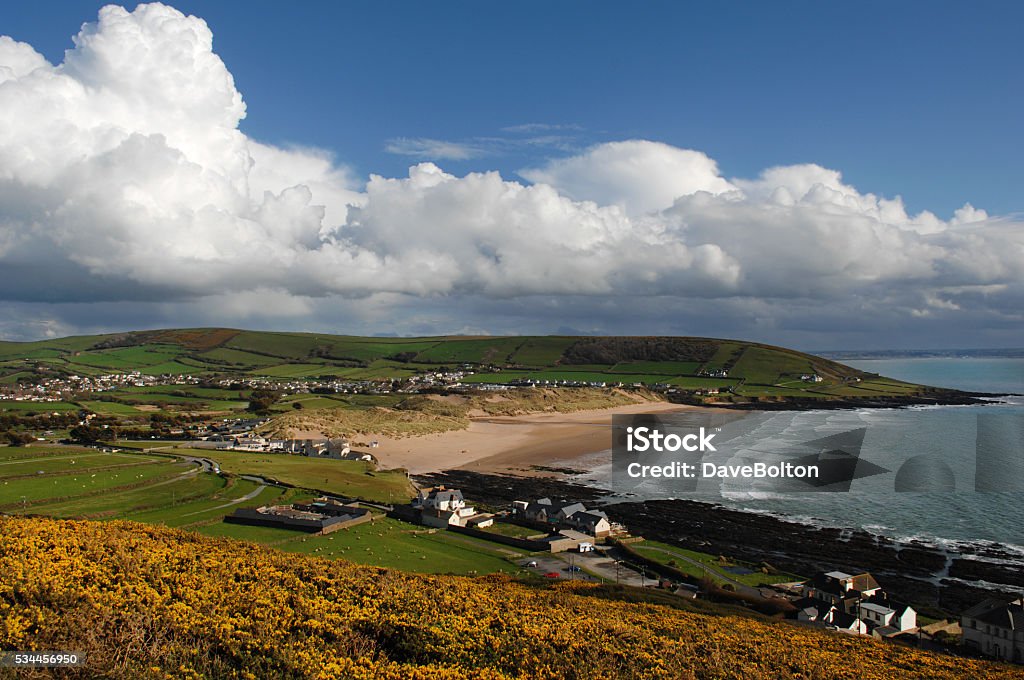 Croyde Bay Devon UK Beautiful Croyde Bay in Devon, under high summer sunshine. As seen from nearby Baggy Point and looking over a field of Gorse. Croyde Stock Photo