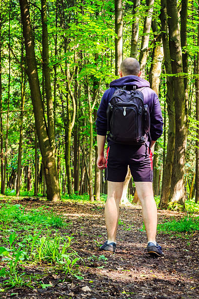 istock Rear view hiker with backpack, young man walking in forest, 534458928