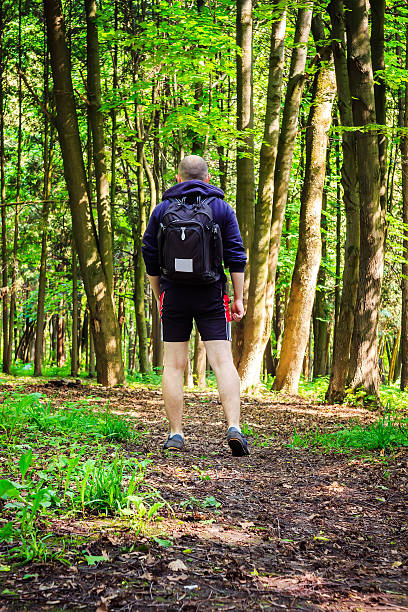 istock Rear view hiker with backpack, young man walking in forest 534459002