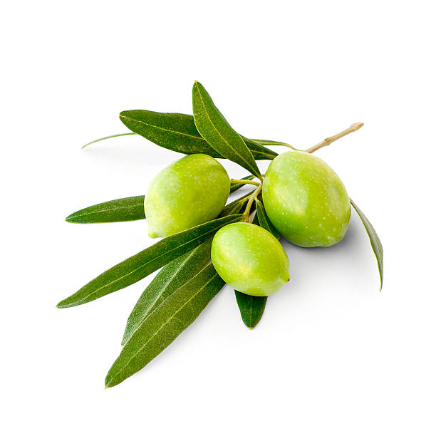istock Three green ripe olives on branch 534459806