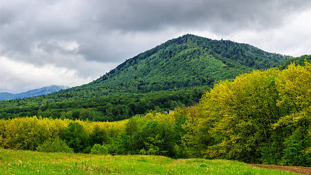 istock Carpathian mountains, valley before rain. Ukraine. 534460582