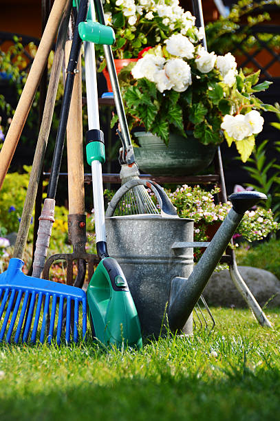 istock Watering can and tools in the garden 534472589