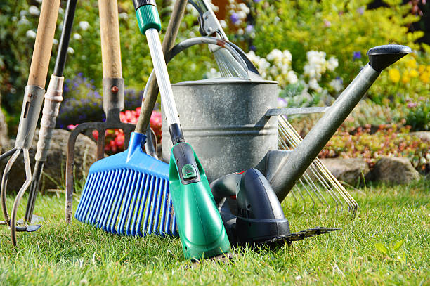 istock Watering can and tools in the garden 534472605