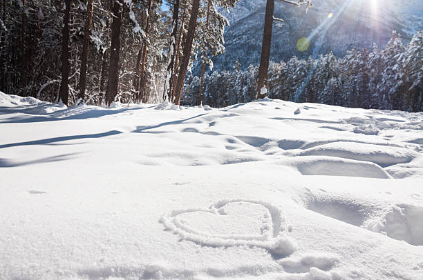 istock Heart on the snow 534472665