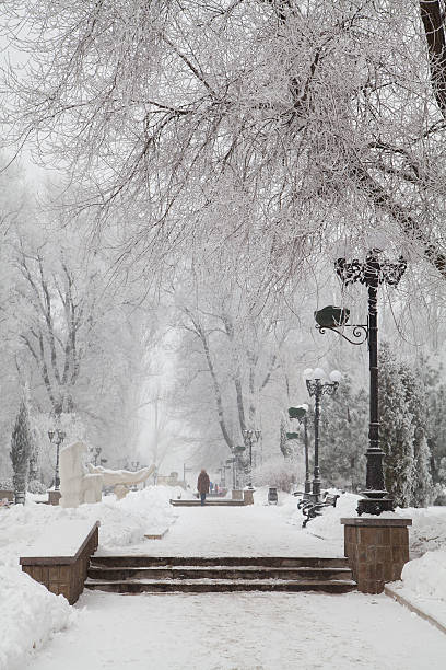 zimą drzewa pokryte śniegiem na miasto boulevard - tranquil scene sky road street zdjęcia i obrazy z banku zdjęć