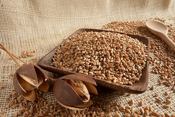 istock wheat as natural food 534474703