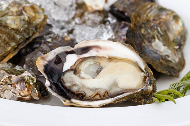 istock fresh oyster on a plate close-up 534474739