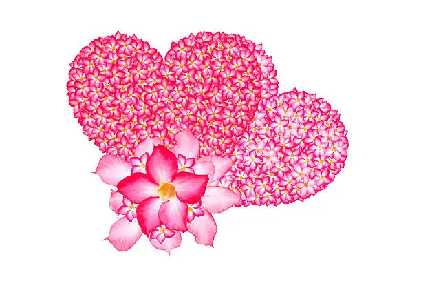 Floral pattern for a heart shape.