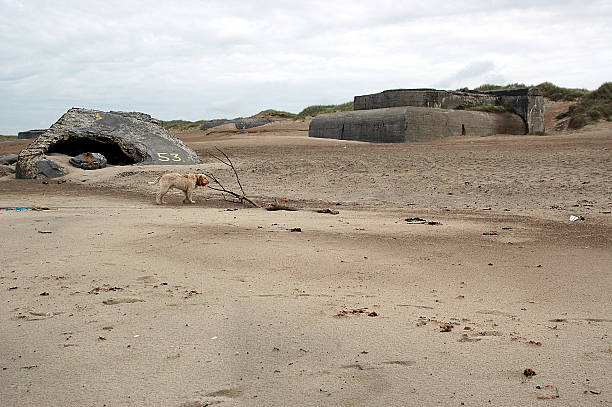 atlantic wall #12 - adolf hitler imagens e fotografias de stock