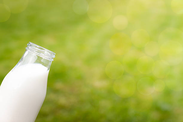 istock Bottle of milk with green background 534476472