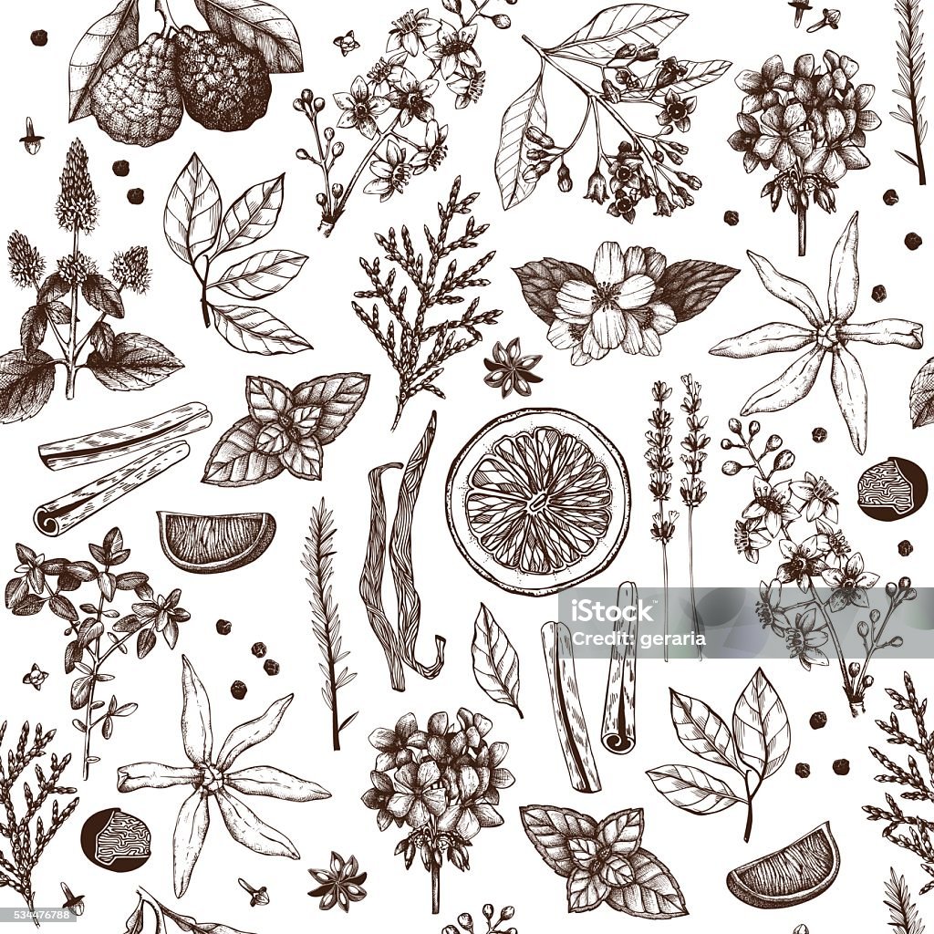Perfumery ingredients vintage background Vector seamless pattern with hand drawn perfumery and cosmetics materials and ingredient sketch isolated on white Cinnamon stock vector