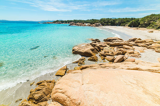 istock Capriccioli beach on a clear day 534478328