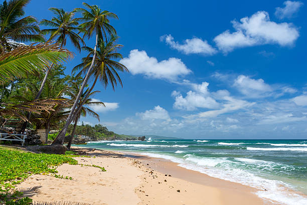 istock tropical beach on the caribbean island 534478746