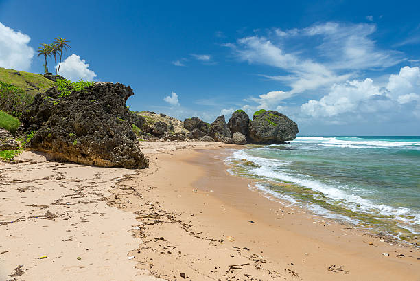 istock tropical beach on the caribbean island 534478790