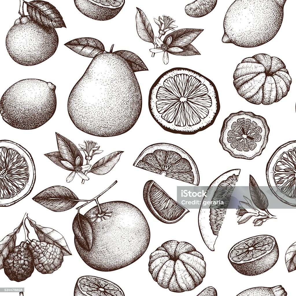 Vintage citrus background Vector seamless pattern with ink hand drawn citrus fruit, flowers, slice and leaves sketch. Orange - Fruit stock vector