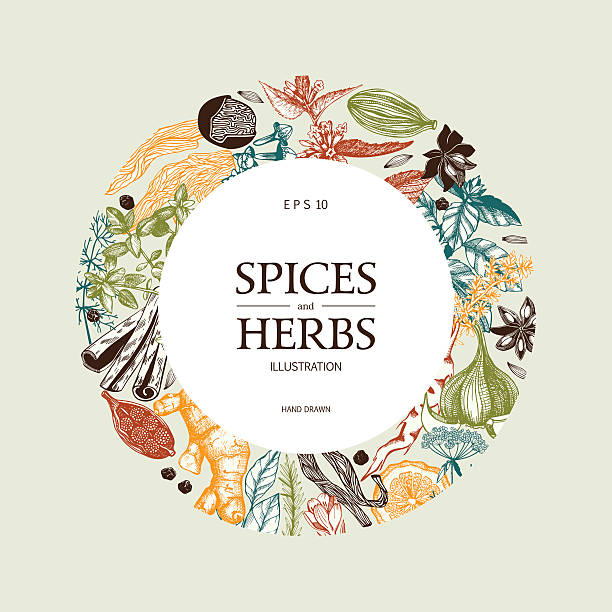 装飾を施したカラフルなの背景ヴィンテージスパイスのスケッチ。 - herb seasoning spice old fashioned点のイラスト素材／クリップアート素材／マンガ素材／アイコン素材