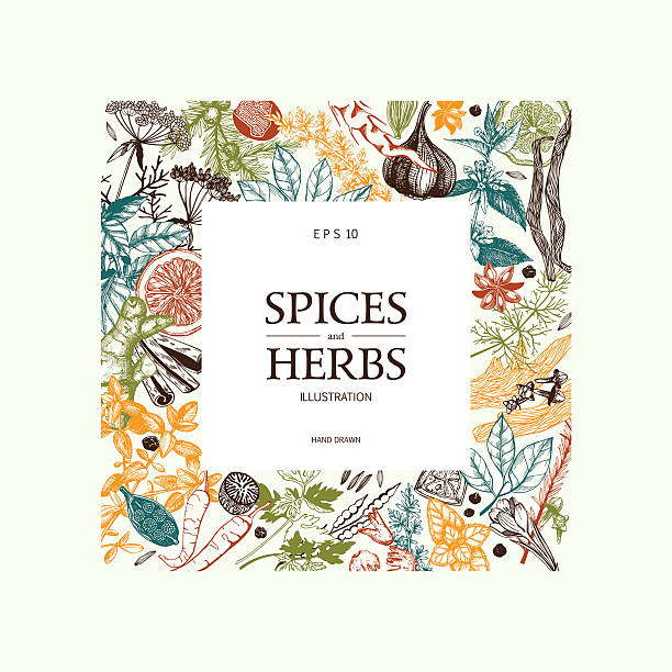 장식 색상화 ~의 배경 빈티지 양념통 스케치. - spice vanilla ginger pepper stock illustrations